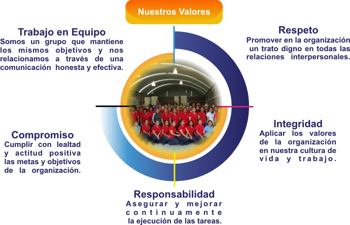 texto alterno